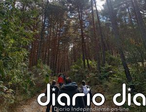 Expertos de toda España se reúnen este martes en El Bierzo (León) para analizar la sanidad forestal