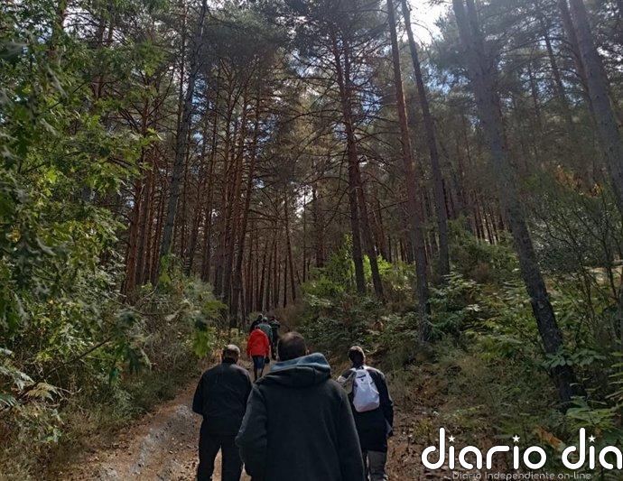 Expertos de toda España se reúnen este martes en El Bierzo (León) para analizar la sanidad forestal