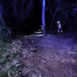 Extinguido el incendio forestal en el entorno del río Bedmar, en Jimena (Jaén)