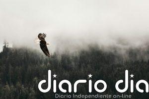 Fondo para el Medioambiente Mundial espera 4000 millones de dólares para lograr sus metas en 2030