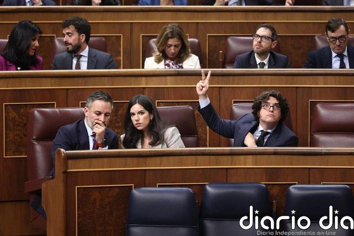 Gobierno y PP tumban en el Congreso la moción de Vox para dar "prioridad nacional" en el acceso a ayudas públicas