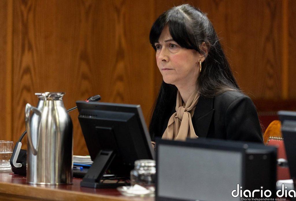 Gualda (SEPI) defiende que Plus Ultra es "estratégica" para la conectividad y el turismo en España