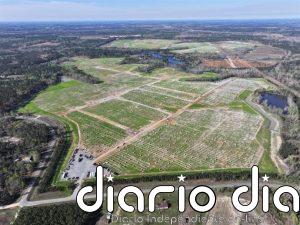 Heelstone (Qualitas Energy) inicia la construcción de dos proyectos fotovoltaicos en EEUU respaldados por PPA