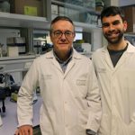 Identifican el mecanismo de acción de una molécula implicada en el desarrollo y tratamiento del cáncer