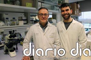 Identifican el mecanismo de acción de una molécula implicada en el desarrollo y tratamiento del cáncer