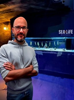 Impulsan estudio en embriones de tiburón que permitirá analizar cómo se generan enfermedades sanguíneas El profesor Juan Pascual Anaya lidera un grupo que impulsa estudio en embriones de tiburón que permitirán analizar cómo se generan enfermedades sanguíneas