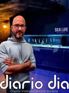 Impulsan estudio en embriones de tiburón que permitirá analizar cómo se generan enfermedades sanguíneas