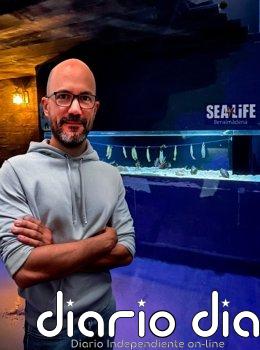 Impulsan estudio en embriones de tiburón que permitirá analizar cómo se generan enfermedades sanguíneas El profesor Juan Pascual Anaya lidera un grupo que impulsa estudio en embriones de tiburón que permitirán analizar cómo se generan enfermedades sanguíneas