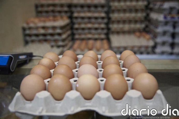 Inprovo pone en marcha la nueva campaña europea para revalorizar el huevo como alimento sostenible