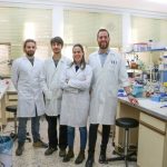 Investigadores de la ULE estudian la aplicación de residuos de té verde frente a enfermedades bacterianas en las plantas