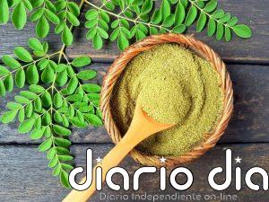 La AESAN amplía a cinco lotes su alerta por presencia de Salmonella spp. en moringa ecológica de procedencia alemana