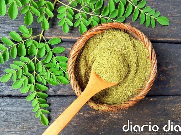 La AESAN amplía a cinco lotes su alerta por presencia de Salmonella spp. en moringa ecológica de procedencia alemana