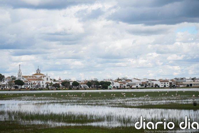 La AN admite a trámite el recurso de la Junta por el deslinde de las marismas de Doñana y acepta su personación