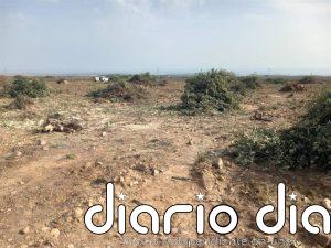 La asociación naturalista Rosalía Alpina advierte de que "La Rioja pierde biodiversidad"