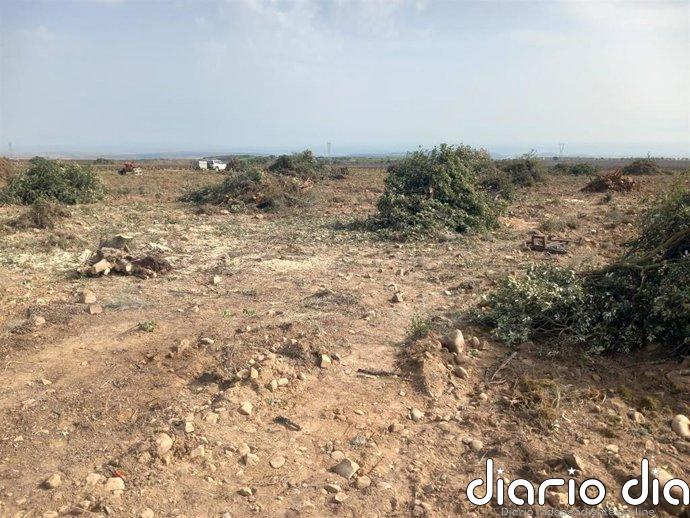 La asociación naturalista Rosalía Alpina advierte de que "La Rioja pierde biodiversidad"