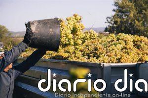 La D.O. Cava elogia la historia de Juvé & Camps y ve natural tener entradas y salidas