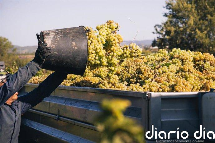 La D.O. Cava elogia la historia de Juvé & Camps y ve natural tener entradas y salidas