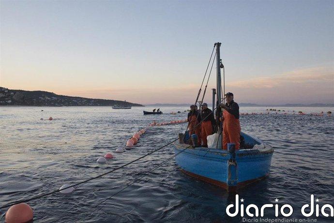 La Eurocámara pide misiones navales para combatir la pesca ilegal y las flotas fantasma en aguas de la UE