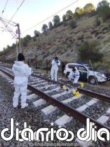 La Guardia Civil confirma la rotura de la vía 22 horas antes del accidente de Adamuz, pero no saltó la alerta en Adif