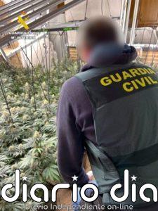 La Guardia Civil se incautó en marzo de más de 11.800 plantas de marihuana en la provincia de Granada