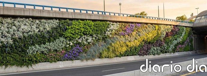 La M-30 sumará sus segundos jardines verticales, con una treintena de especies sobre 400 metros a la altura de Ventas