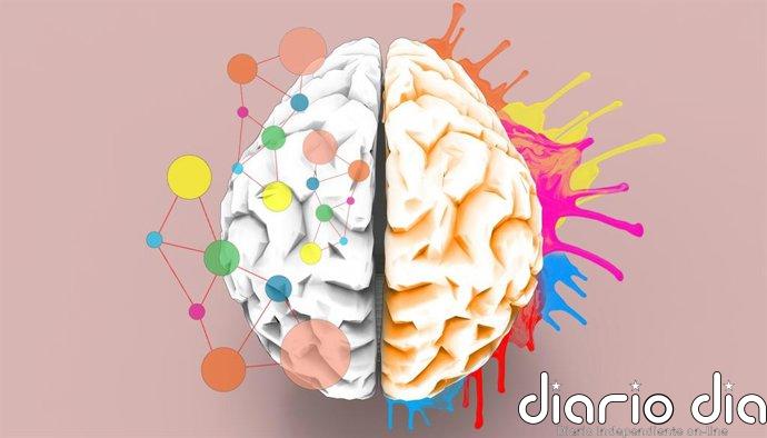 Las mismas neuronas que se activan al ver una cara se reactivan al imaginarla, según un estudio con registros cerebrales