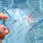 Logran restaurar la audición tras años de sordera total gracias a una terapia génica con resultados duraderos