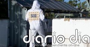 Los bomberos de Valencia retiran estos días miles de abejas en semáforos, barandillas o motos