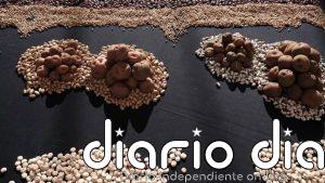 Los cultivos del aguacate, el plátano y la papa, los principales afectados tras el paso de la borrasca 'Therese'