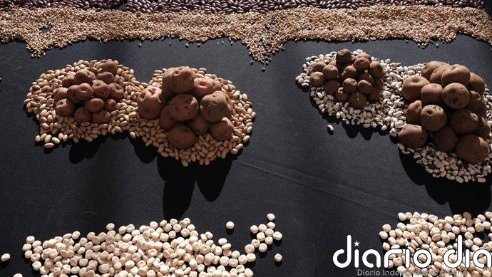 Los cultivos del aguacate, el plátano y la papa, los principales afectados tras el paso de la borrasca 'Therese'