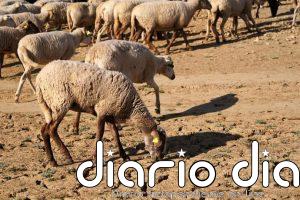 Los efectos del cambio climático persisten incluso en los tataranietos