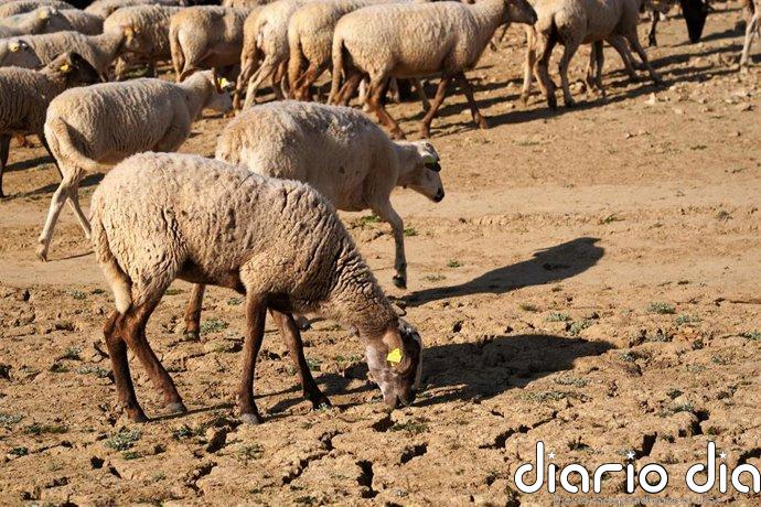 Los efectos del cambio climático persisten incluso en los tataranietos