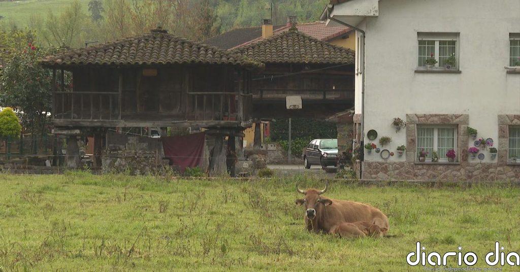 Los hórreos, Patrimonio Cultural de España