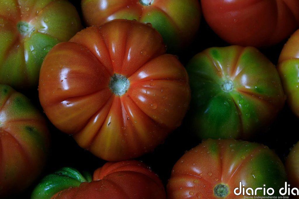 Los trucos esenciales para conservar los tomates frescos