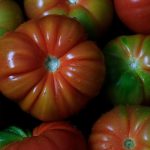 Los trucos esenciales para conservar los tomates frescos