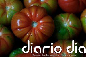 Los trucos esenciales para conservar los tomates frescos