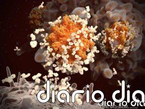 Los virus se comunican por señales químicas y algunas especies las usan para manipular a otras