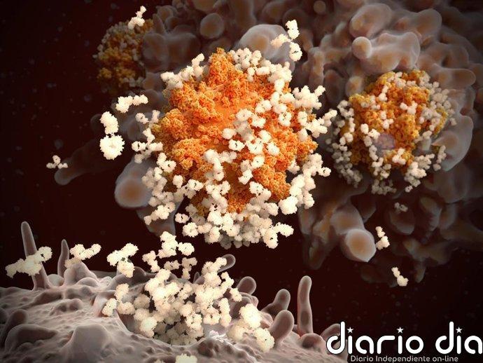 Los virus se comunican por señales químicas y algunas especies las usan para manipular a otras