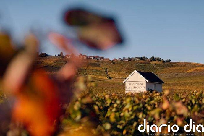 Louis Roederer, la 'Marca de Champán más Admirada del Mundo' por séptimo año consecutivo