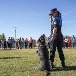 Más de 150 estudiantes con necesidades especiales participan en Mairena (Sevilla) en actividades de terapia con animales