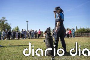 Más de 150 estudiantes con necesidades especiales participan en Mairena (Sevilla) en actividades de terapia con animales