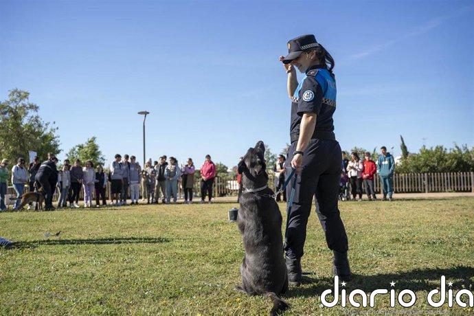 Más de 150 estudiantes con necesidades especiales participan en Mairena (Sevilla) en actividades de terapia con animales