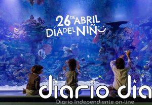 Más de la mitad de los niños españoles juegan solos y el 70% desearía tener más tiempo para jugar, según estudio