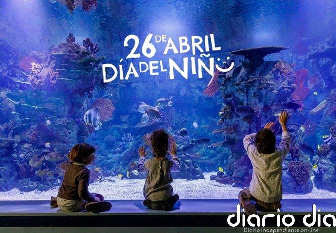 Más de la mitad de los niños españoles juegan solos y el 70% desearía tener más tiempo para jugar, según estudio