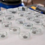 Más Madrid y PSOE tachan de "deficiente" el Plan Regional de Investigación Científica y piden apostar por la "ambición"