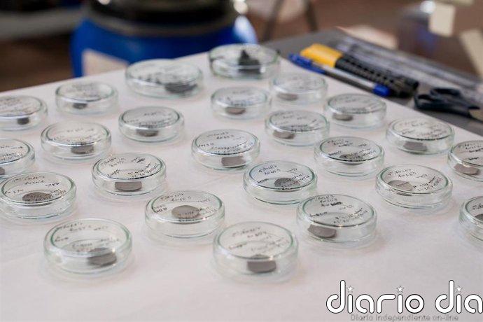 Más Madrid y PSOE tachan de "deficiente" el Plan Regional de Investigación Científica y piden apostar por la "ambición"