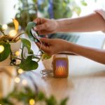 Matadero Madrid arranca el martes Biophest con más de 30 actividades y nuevas propuestas como un ciclo de cine