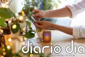 Matadero Madrid arranca el martes Biophest con más de 30 actividades y nuevas propuestas como un ciclo de cine