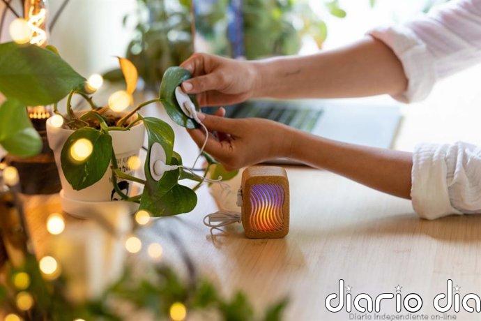 Matadero Madrid arranca el martes Biophest con más de 30 actividades y nuevas propuestas como un ciclo de cine