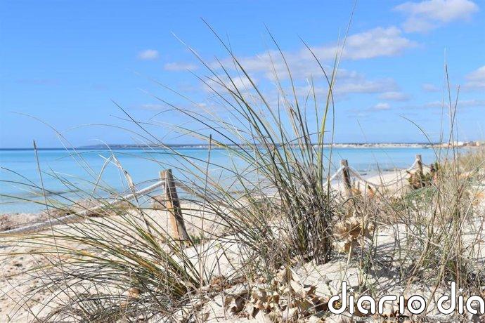 MÉS per Mallorca alerta que el Govern pretende "rebajar" la protección del Parque Natural de Es Trenc